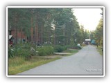 Märynummi.