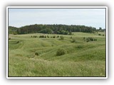 Kaninkola