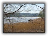 Luontopolku kiertää myös Halikonlahden rannalle.