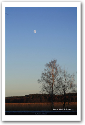 P�iv�n kuva 5.1.2012