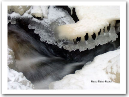 P�iv�n kuva 17.1.2012