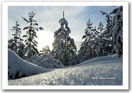 P�iv�n kuva 19.1.2012