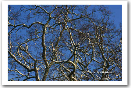 P�iv�n kuva 19.1.2012