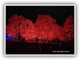 IMG20261011204444
